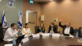 דיון בוועדת החוקה, צילום: דוברות הכנסת